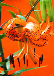 Similar image 727736