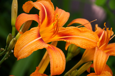 Similar image 727737