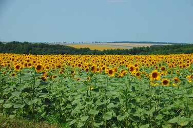 Similar image 727779