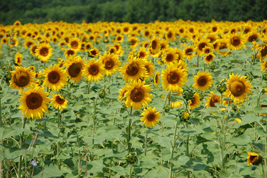 Similar image 727784