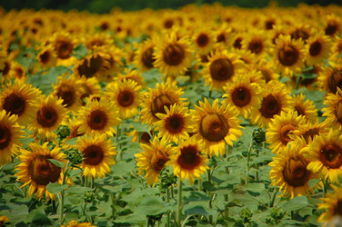 Similar image 727785