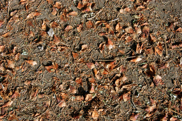 Similar image 727787