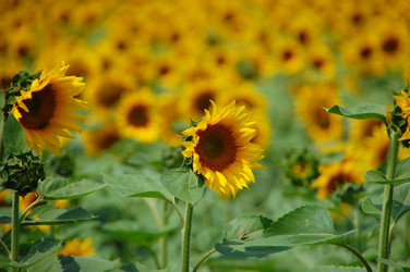 Similar image 727788