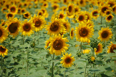 Similar image 727789