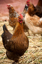 Similar image 727795