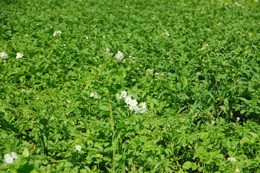 Similar image 727796