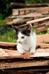 Similar image 727799