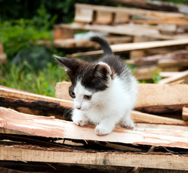 Similar image 727800