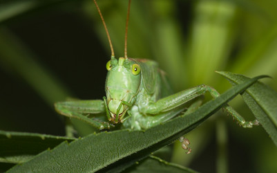 Similar image 727805