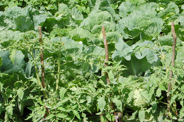 Similar image 727806