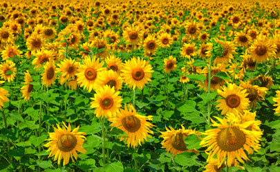 Similar image 727807