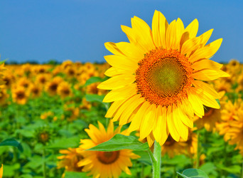 Similar image 727810