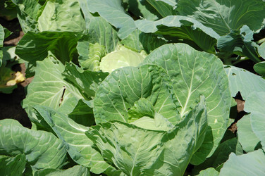 Similar image 727813