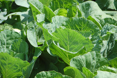 Similar image 727814