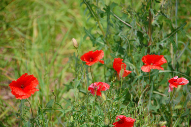 Similar image 727822