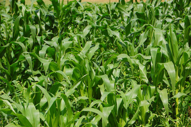 Similar image 727828