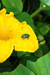 Similar image 727834