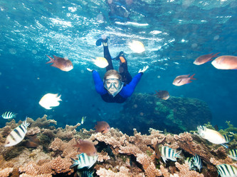 Similar image 727836