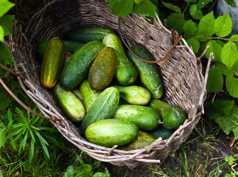 Similar image 727837