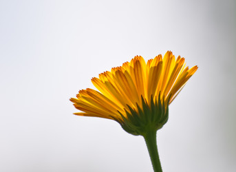 Similar image 727839