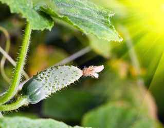 Similar image 727840