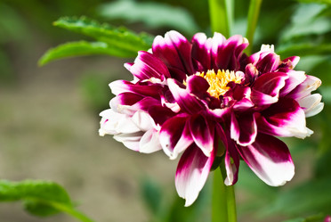 Similar image 727841