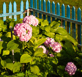 Similar image 727842