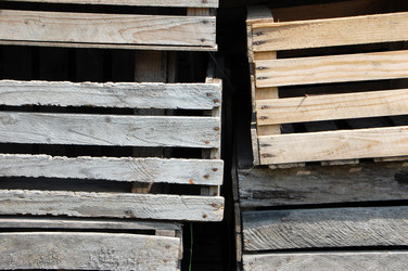 Similar image 727846