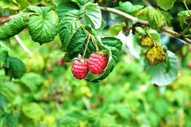 Similar image 727861