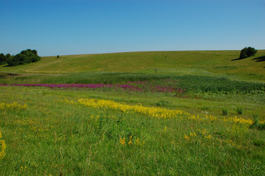 Similar image 727868