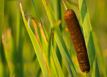 Similar image 727873