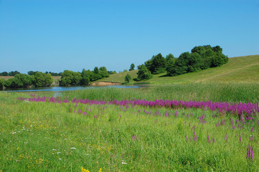 Similar image 727880