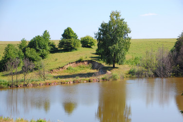 Similar image 727893