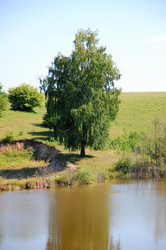 Similar image 727897