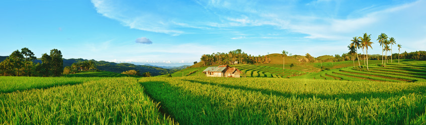 Similar image 727905