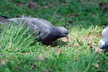 Similar image 728009