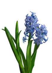 Similar image 728010