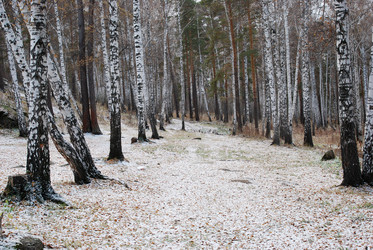 Similar image 728026