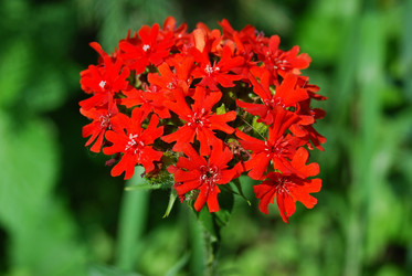 Similar image 728036