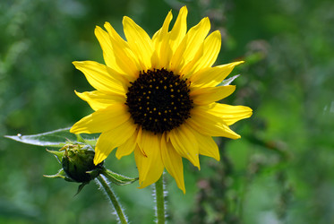 Similar image 728038