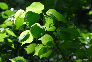 Similar image 728043