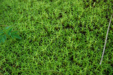 Similar image 728048