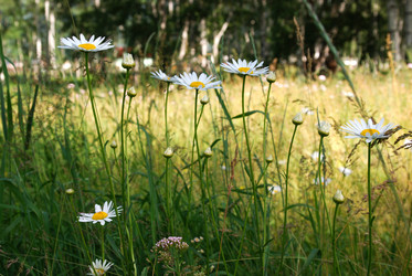 Similar image 728051