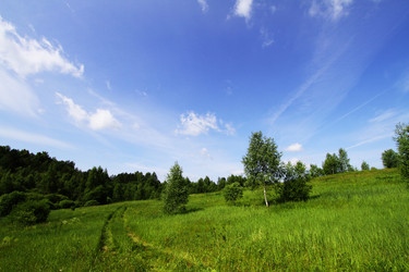 Similar image 728052