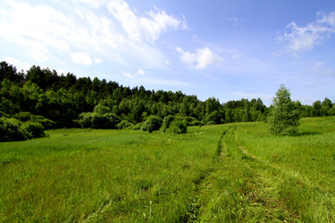 Similar image 728053