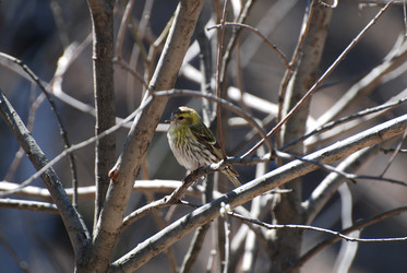 Similar image 728062