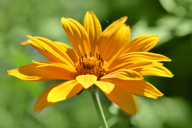 Similar image 728065