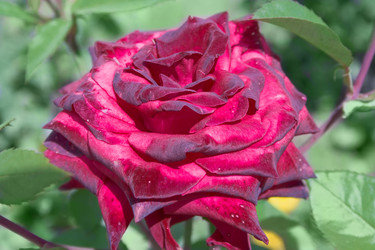 Similar image 728066