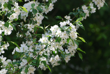 Similar image 728094