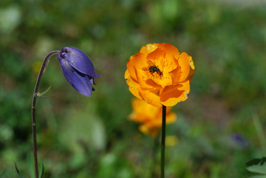 Similar image 728099